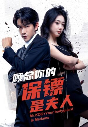 เมียผมเป็นบอดี้การ์ด พากย์ไทย (จบ)